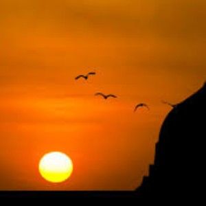 Meet your Posher, Adrienne